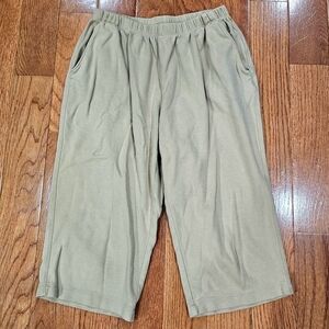 Lands' End Beige Capri Sweats (Size XS)